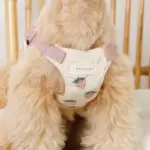 冷感いちご柄ハーネス+リードSET【名入れ刺繍対応】 - 画像 (10)