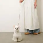 フラワーパラコードリード - 画像 (3)