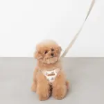 くまさんハーネス - 画像 (2)