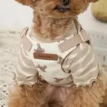 くまさんハーネス - 画像 (7)