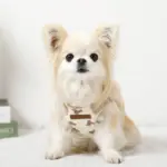 くまさんハーネス - 画像 (9)