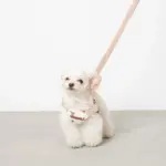 くまさんハーネス - 画像 (10)