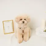 レザー×リネンハーネス - 画像 (2)