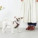 レザー×リネンハーネス - 画像 (4)