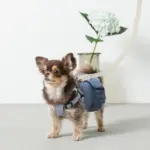 レザー×リネンハーネス - 画像 (6)