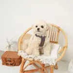 レザー×リネンハーネス - 画像 (8)