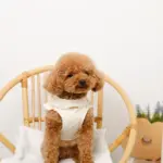 ショルダーフリルハーネス＋リードSET【名入れ刺繍対応】 - 画像 (7)