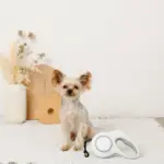 LEDロングリード5m - 画像 (2)