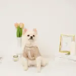 反射フラワー刺繍ハーネス+リードSET【名入れ刺繍対応】 - 画像 (2)