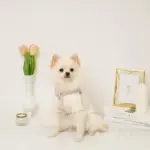 反射フラワー刺繍ハーネス+リードSET【名入れ刺繍対応】 - 画像 (4)