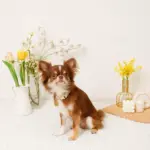 フラワーチャーム刺繍カラー+リードSET【名入れ彫刻対応】 - 画像 (3)