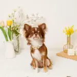 フラワーチャーム刺繍カラー+リードSET【名入れ彫刻対応】 - 画像 (5)