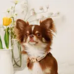 フラワーチャーム刺繍カラー+リードSET【名入れ彫刻対応】 - 画像 (6)