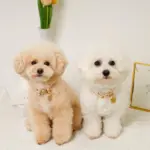 フラワーチャーム刺繍カラー+リードSET【名入れ彫刻対応】 - 画像 (7)