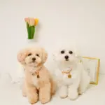 フラワーチャーム刺繍カラー+リードSET【名入れ彫刻対応】 - 画像 (8)