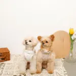 リボン刺繍フリルキルティングハーネス+リードSET【名入れ刺繍対応】 - 画像 (2)