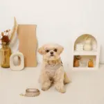 リボン刺繍フリルキルティングハーネス+リードSET【名入れ刺繍対応】 - 画像 (5)