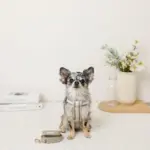 メッシュコンビ反射テープハーネス+リードSET【名入れ刺繍対応】 - 画像 (4)