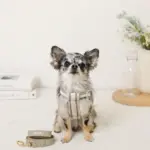 メッシュコンビ反射テープハーネス+リードSET【名入れ刺繍対応】 - 画像 (5)