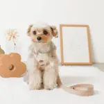 冷感フラワー刺繍ハーネス+リードSET【名入れ刺繍対応】 - 画像 (2)