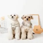 冷感フラワー刺繍ハーネス+リードSET【名入れ刺繍対応】 - 画像 (10)