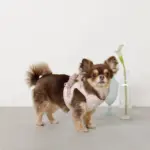 冷感アイスクリーム柄ハーネス+リードSET【名入れ刺繍対応】 - 画像 (7)