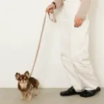 撥水バイカラーハーネス+リードSET【名入れ刺繍対応】 - 画像 (7)