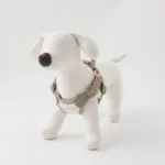 撥水バイカラーハーネス+リードSET【名入れ刺繍対応】 - 画像 (8)