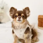 冷感マリン柄刺繍ハーネス+リードSET【名入れ刺繍対応】 - 画像 (10)