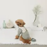 冷感マーガレット柄ハーネス+リードSET【名入れ刺繍対応】【保冷剤付き】 - 画像 (5)