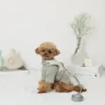 冷感マーガレット柄ハーネス+リードSET【名入れ刺繍対応】【保冷剤付き】 - 画像 (7)