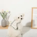 冷感マーガレット柄ハーネス+リードSET【名入れ刺繍対応】【保冷剤付き】 - 画像 (9)