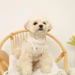 リンゴ柄刺繍ハーネス+リードSET【名入れ刺繍対応】 - 画像 (2)