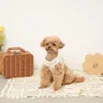 リンゴ柄刺繍ハーネス+リードSET【名入れ刺繍対応】 - 画像 (5)