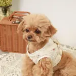 リンゴ柄刺繍ハーネス+リードSET【名入れ刺繍対応】 - 画像 (6)