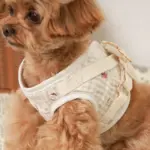 リンゴ柄刺繍ハーネス+リードSET【名入れ刺繍対応】 - 画像 (7)