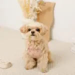 さくらんぼ刺繍ハーネス+リードSET【名入れ刺繍対応】 - 画像 (5)