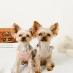 さくらんぼ刺繍ハーネス+リードSET【名入れ刺繍対応】 - 画像 (8)