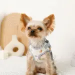 恐竜柄刺繍ハーネス+リードSET【名入れ刺繍対応】 - 画像 (5)