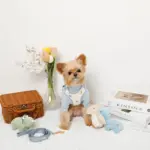 恐竜柄刺繍ハーネス+リードSET【名入れ刺繍対応】 - 画像 (9)