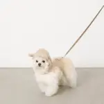 おさんぽロングリード5m - 画像 (3)