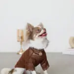 サークルチャームチェーンネックレス【名入れ彫刻対応】 - 画像 (4)