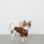 サークルチャームチェーンネックレス【名入れ彫刻対応】 - 画像 (5)