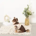 レモン柄刺繍ハーネス+リードSET【名入れ刺繍対応】 - 画像 (10)