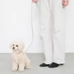 バイカラーレザーリード - 画像 (5)