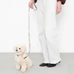 バイカラーレザーリード - 画像 (8)