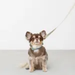 シュリンクレザーコットンライクリード - 画像 (3)