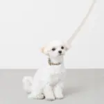 シュリンクレザーコットンライクリード - 画像 (6)