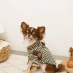 ソフトメッシュハーネス - 画像 (2)