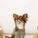 ソフトメッシュハーネス - 画像 (4)